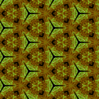 UY TT IS NW AN 3 SEE 305121716